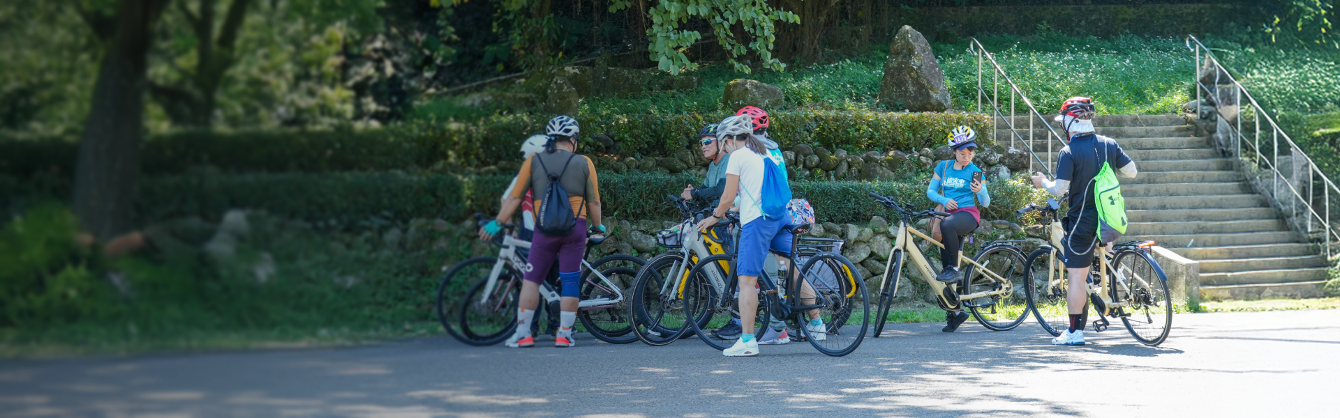 電輔多功能自行車