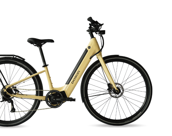 Electric Bicycle - DOSUN's Electric Bikes for Every Adventure